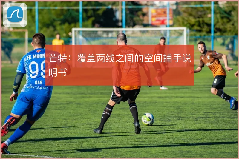 芒特:覆盖两线之间的空间捕手说明书