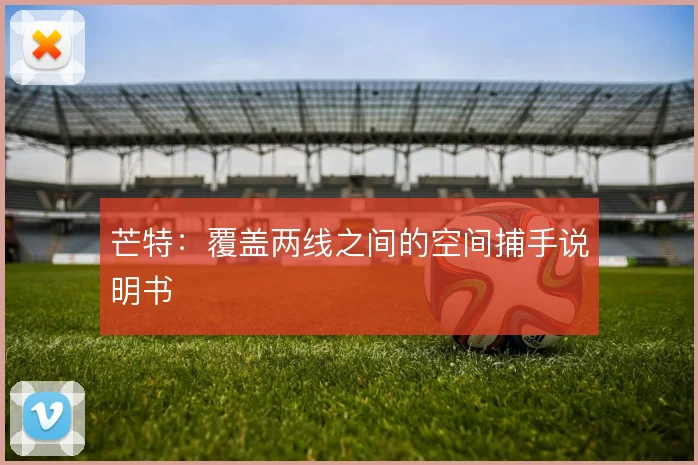 芒特:覆盖两线之间的空间捕手说明书