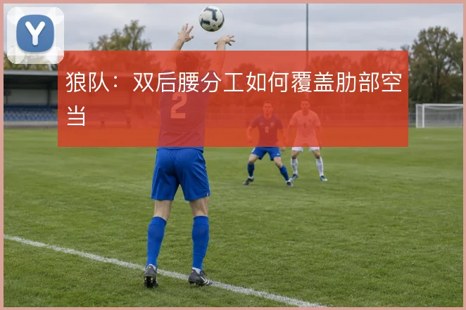 狼队：双后腰分工如何覆盖肋部空当